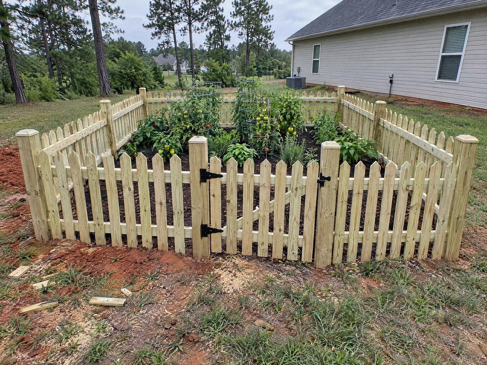 Natural wood picket fence with a small gate around a backyard vegetable garden